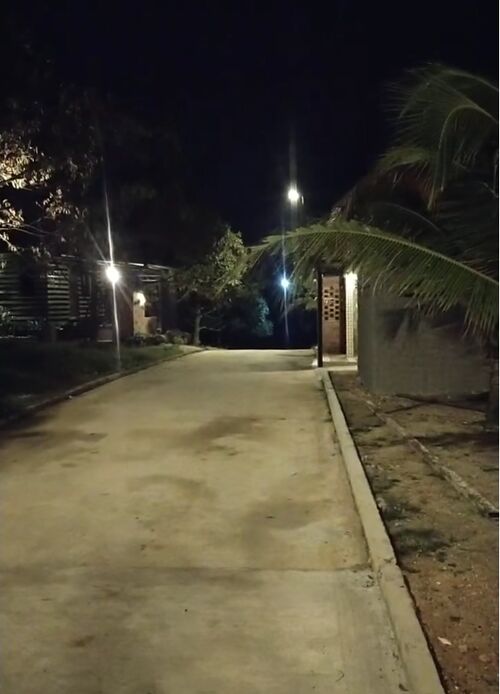 Latest company Solutions about Farm lighting in Malaysia