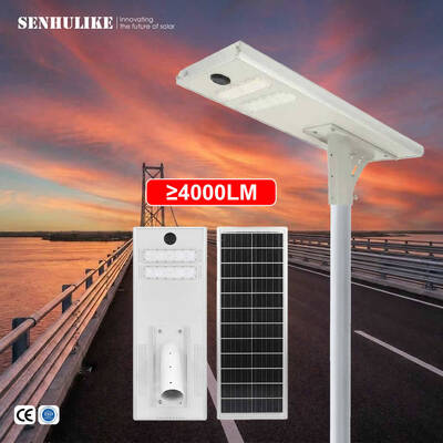 Goede prijs. Premium 100W Dual Module Witte Zonne-straatlamp Bewegingssensor Schemering tot Dageraad IP65 online