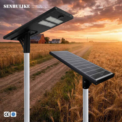 Good price Black 100W All-in-One Solar Street Lamp 2 Modules IP65 Waterproof Aluminum Built-in Lithium Battery for Garden Courtyard online