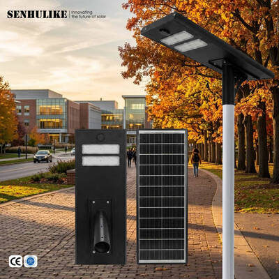 Good price Solar Street Light All-in-One 100W Black 2 Modules IP65 Waterproof Aluminum Built-in Li-ion Battery LED Lamp for Rural Road online